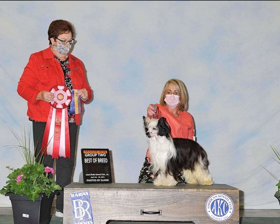 Pinevalley That Boys Got Swag