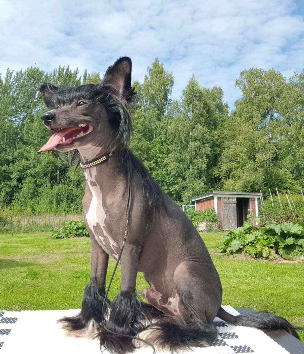 Tournais Keep My Eyes On The Price