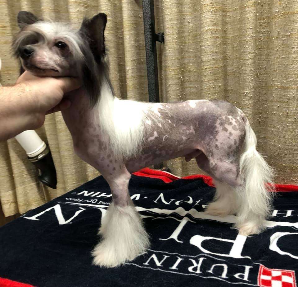 Edelweiss C'Est La Vie