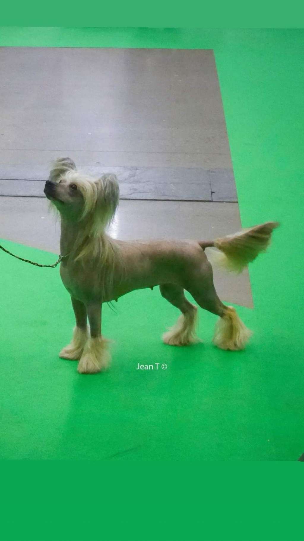 Ridgecrest's Princess Lush Life