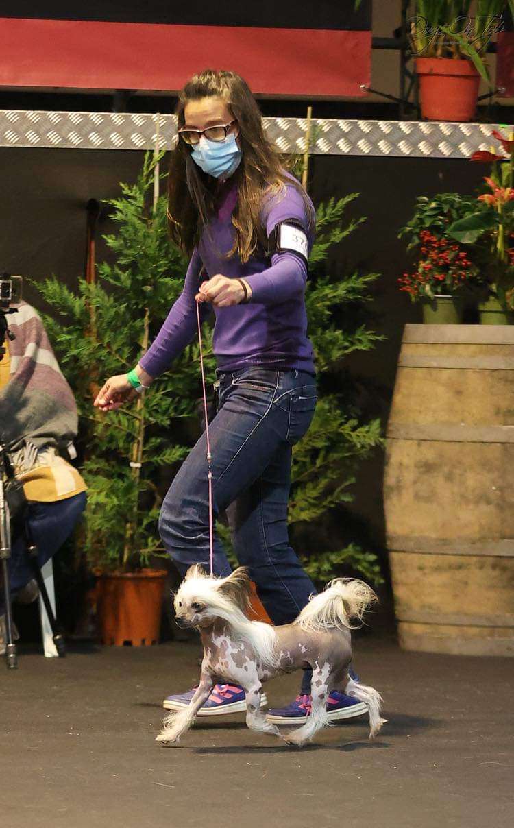 Strawberry Cheesecake Of CayoCarpo