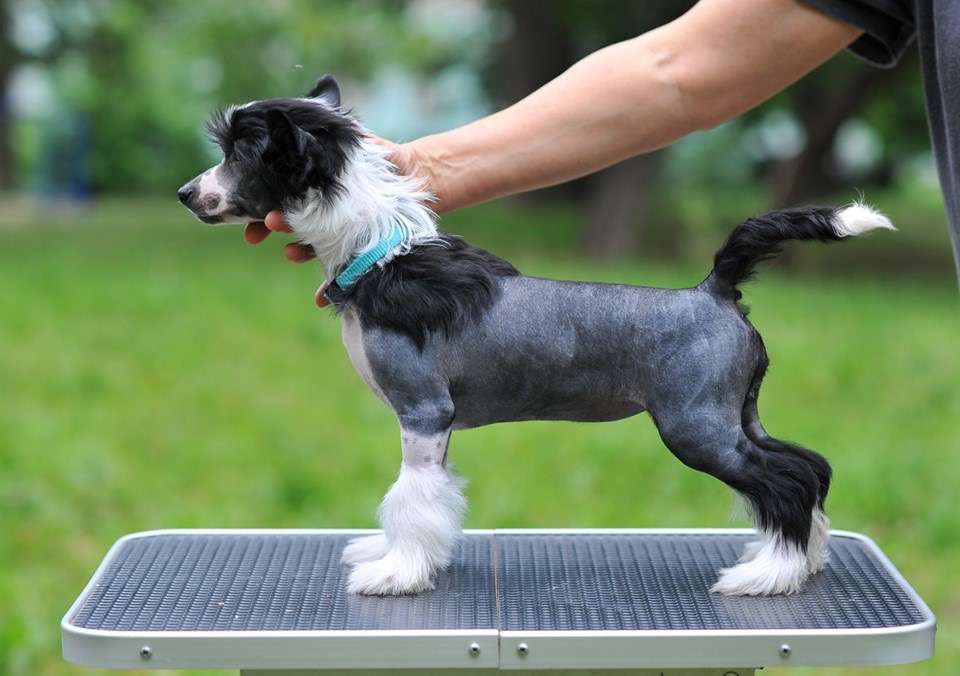 Kranar Russian Rulette