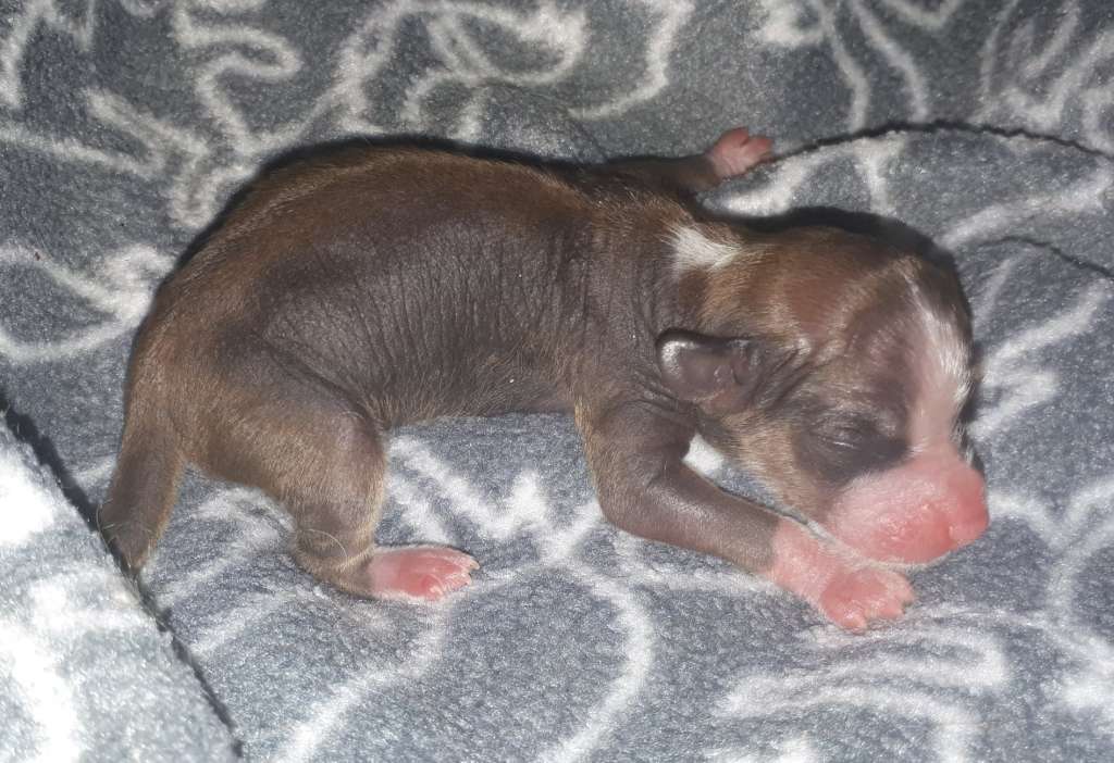 Concrete Clouds Knight In Shining Armor