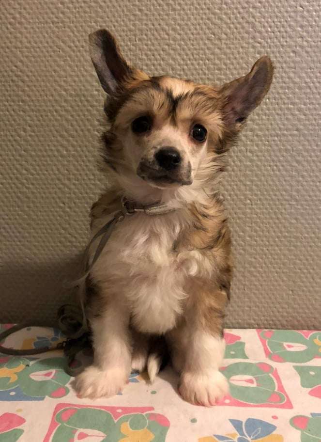 Concrete Clouds Pillow Talk