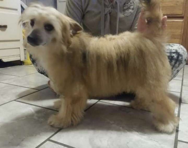 EverCrests Wayward Soul