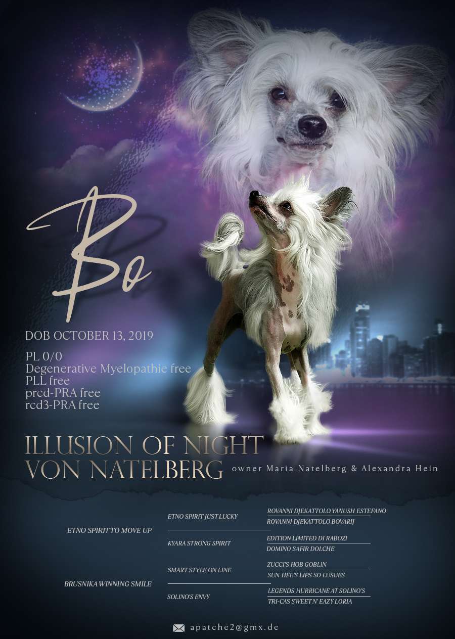 Illusion of Night von Natelberg