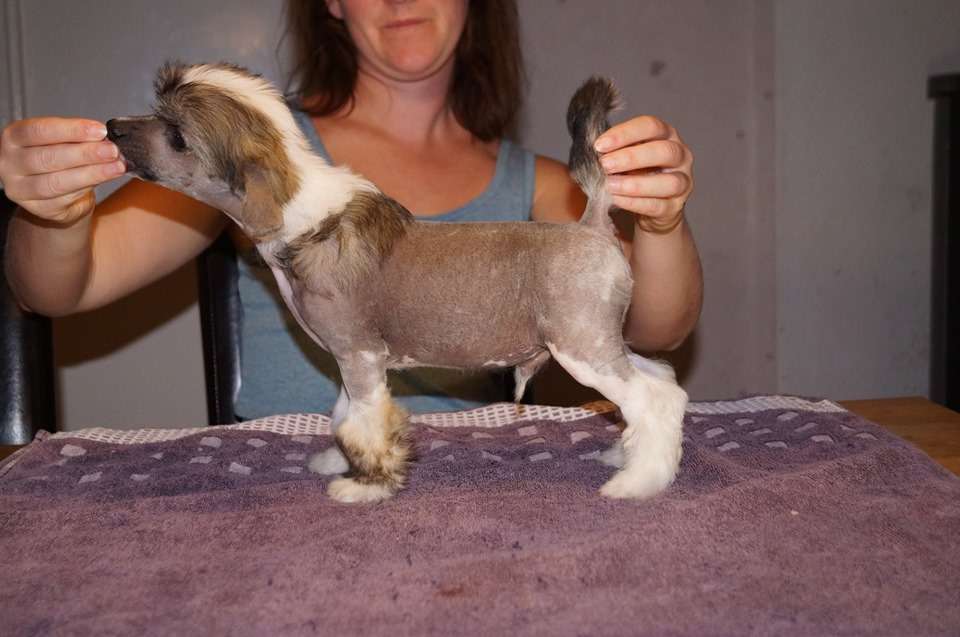 Miakoda's I Love It Loud