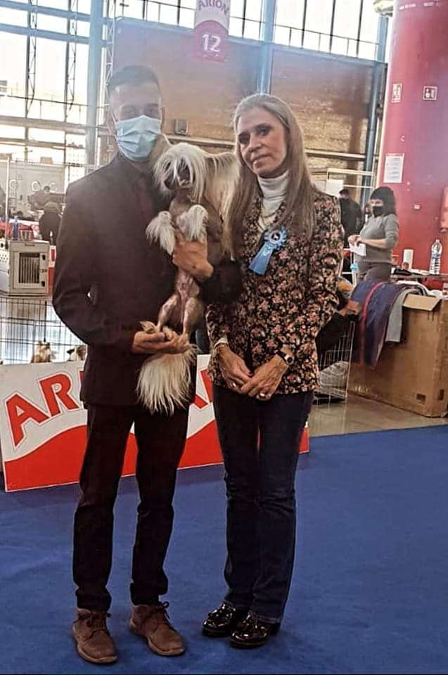 Charlie Bucket Avokaduh