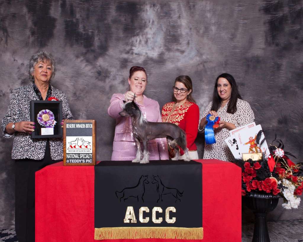 Denali Dasha Body Language