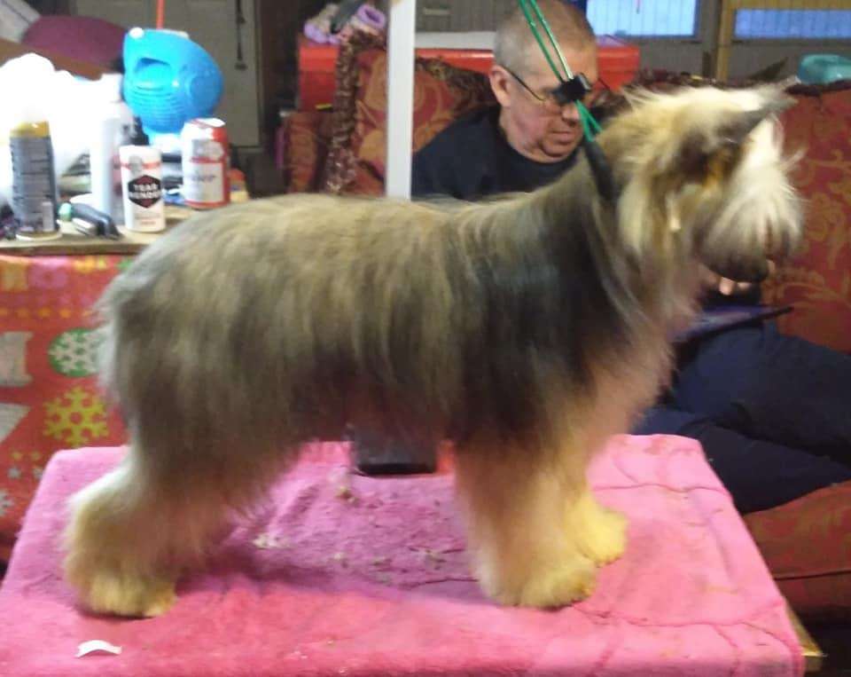 Hopes And Dreams Kissing Bandit