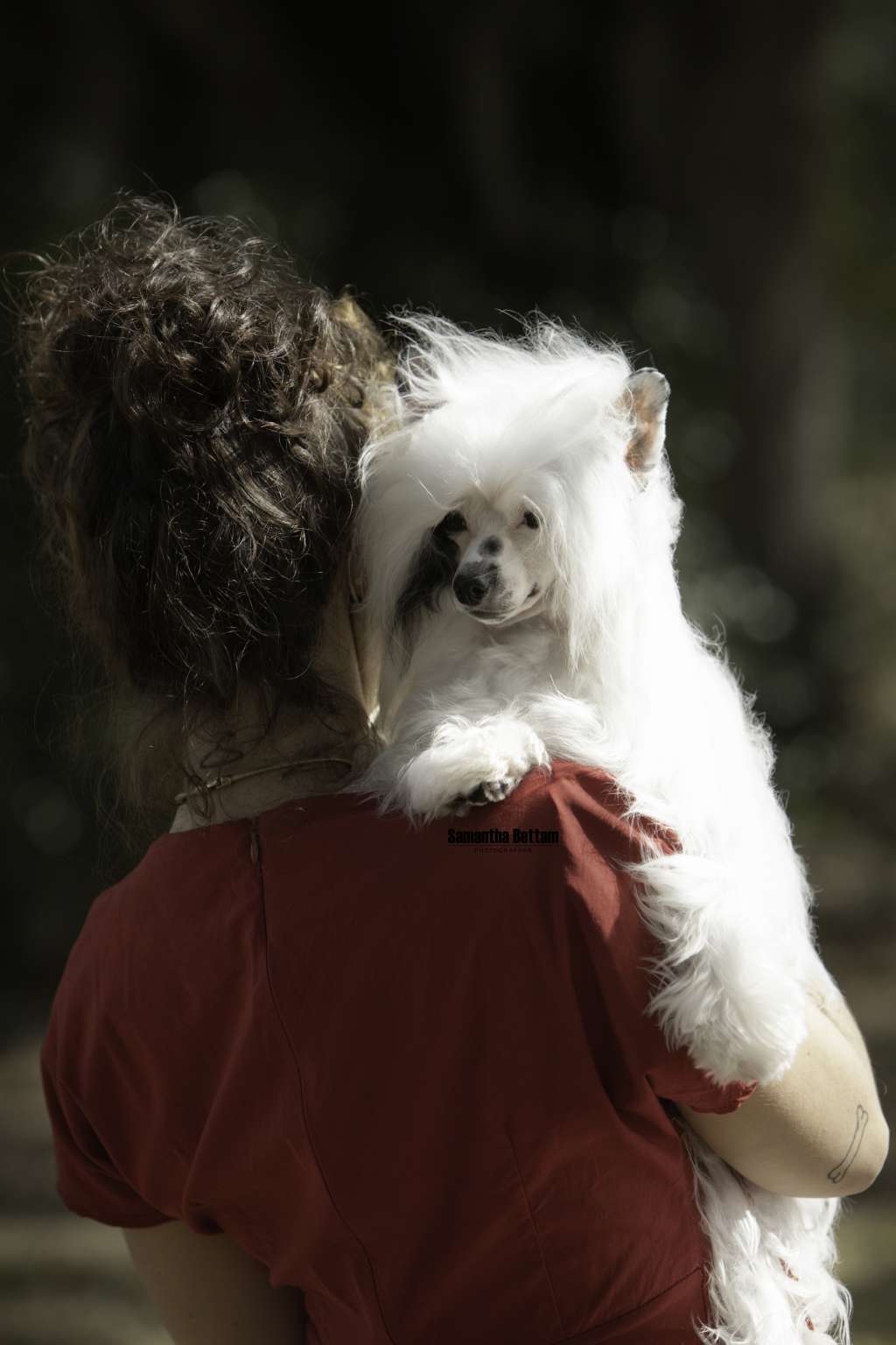 GCH CHWhite Zaya Si Sorcery Bcat