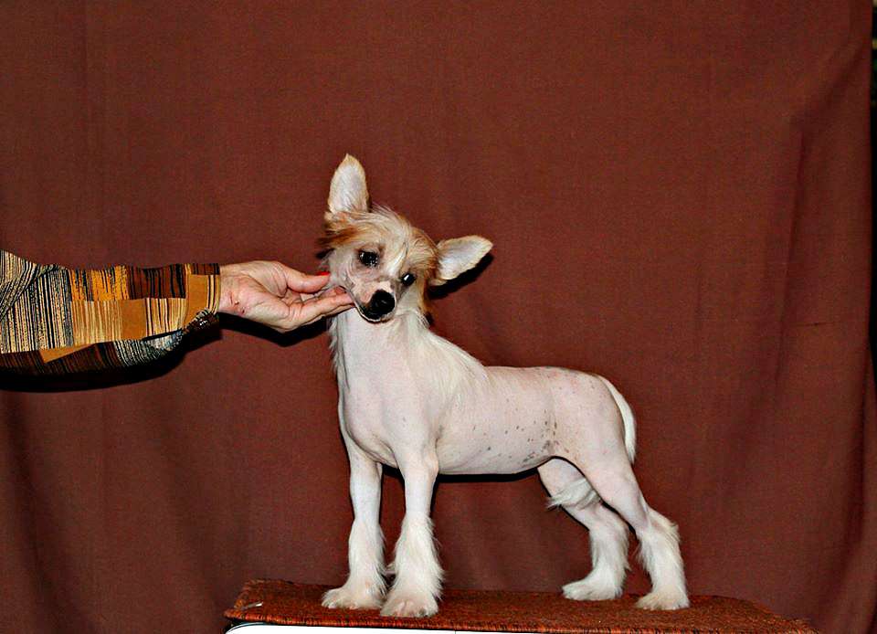 Zimnyaya V'*yuga Iz Vishnyovogo Sada