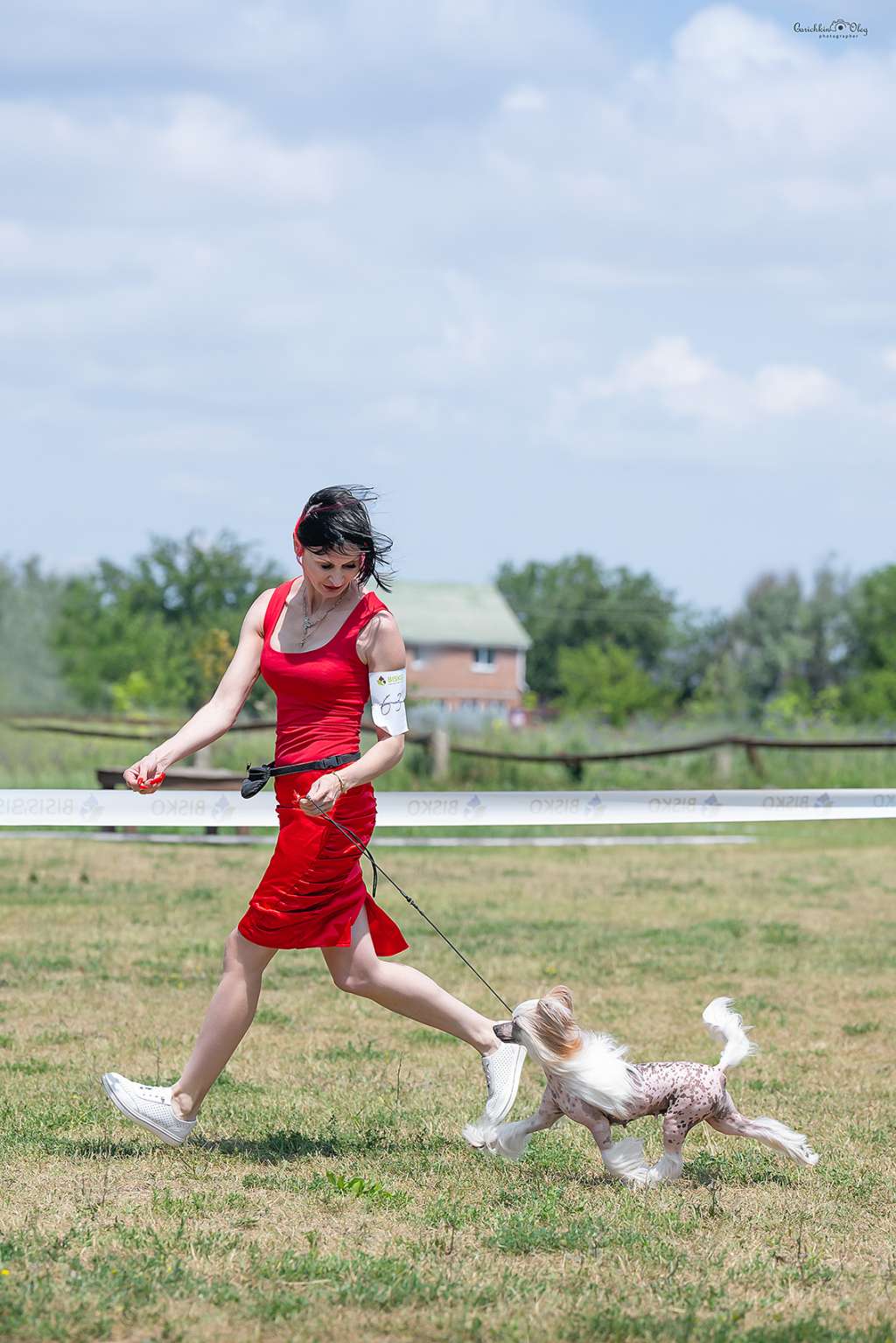 Zayavka na Pobedu Iz Vishnyovogo Sada