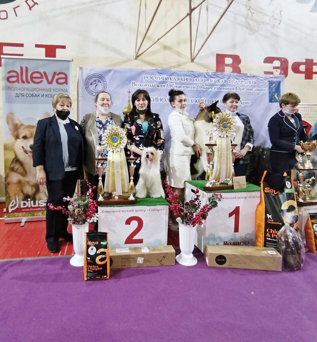 Taiga Star Berry De Rusia Con Amor