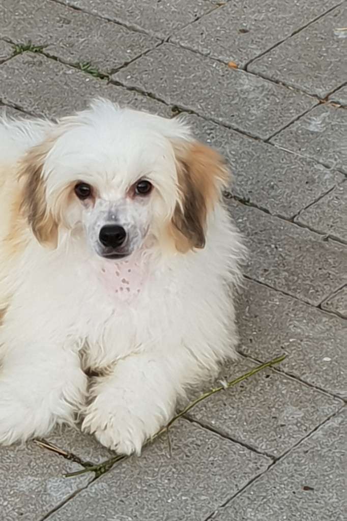 Zheneva-Debjut Laskovyy May