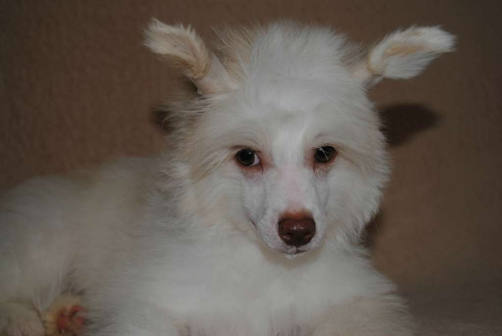 Anda Frelsis R.......