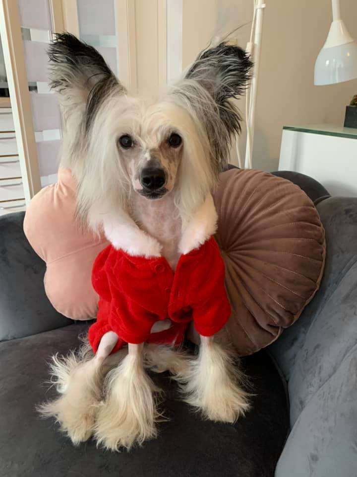 Sol'tanto Long-Awaited