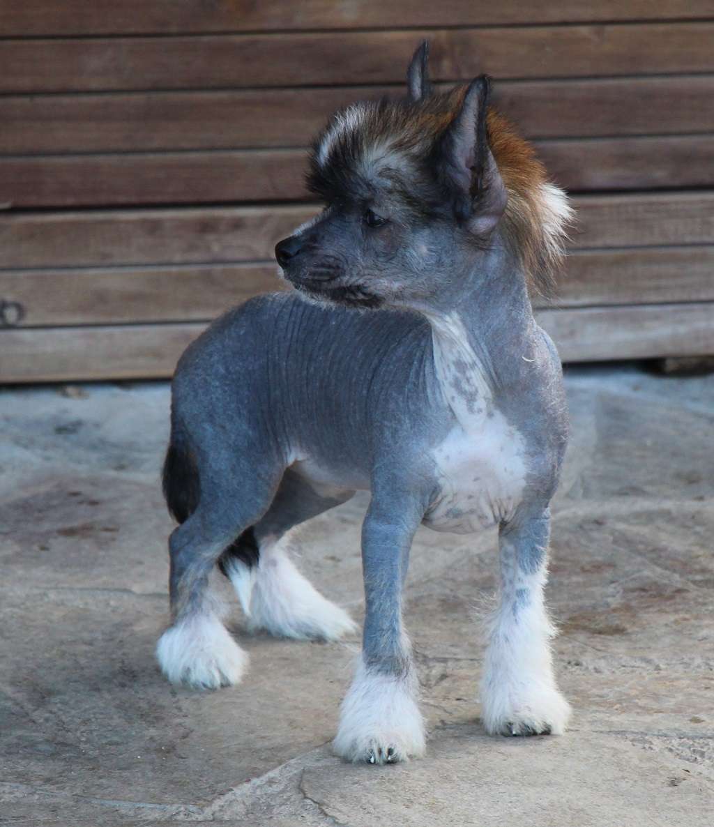 Unpredictable love kiss de Almamasan