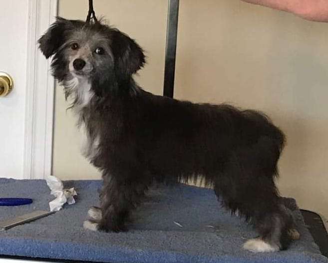 Gardine's Once in a Blue Moon