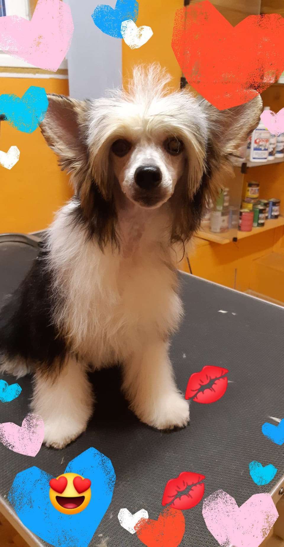 Elizabeth Arden Magic Amber