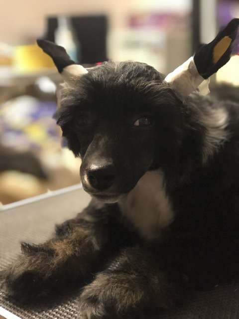 Akdeniz Kiss Of Trinity