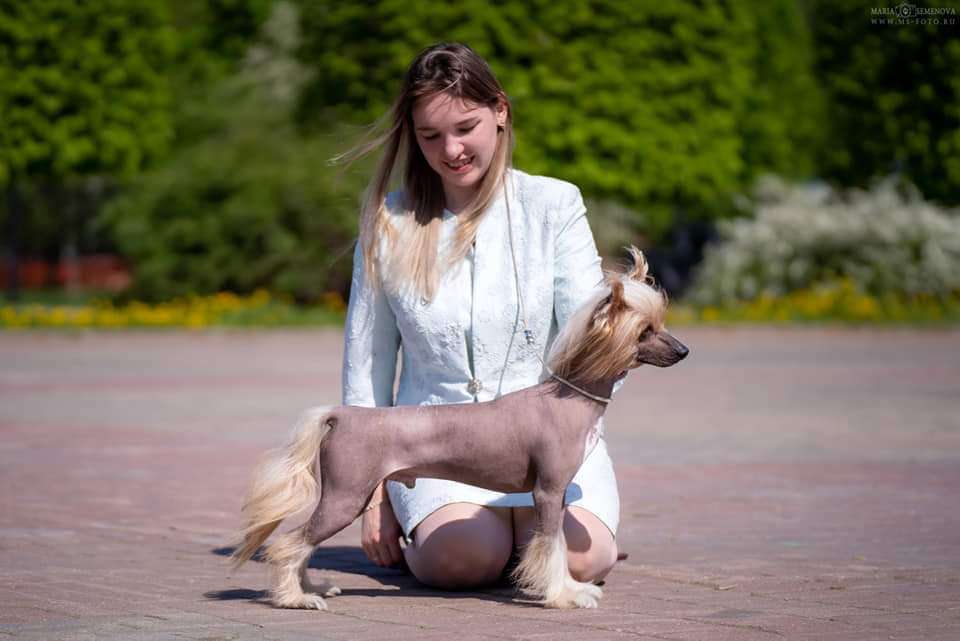 Style Bravo TRENTINO Ilatani Style