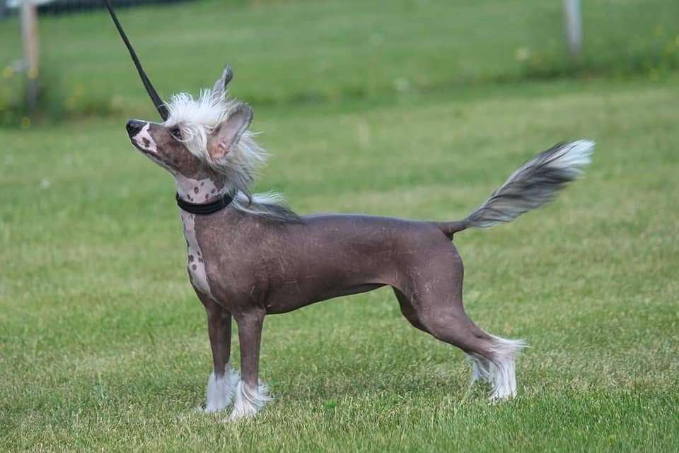 Zhannel's What About Me