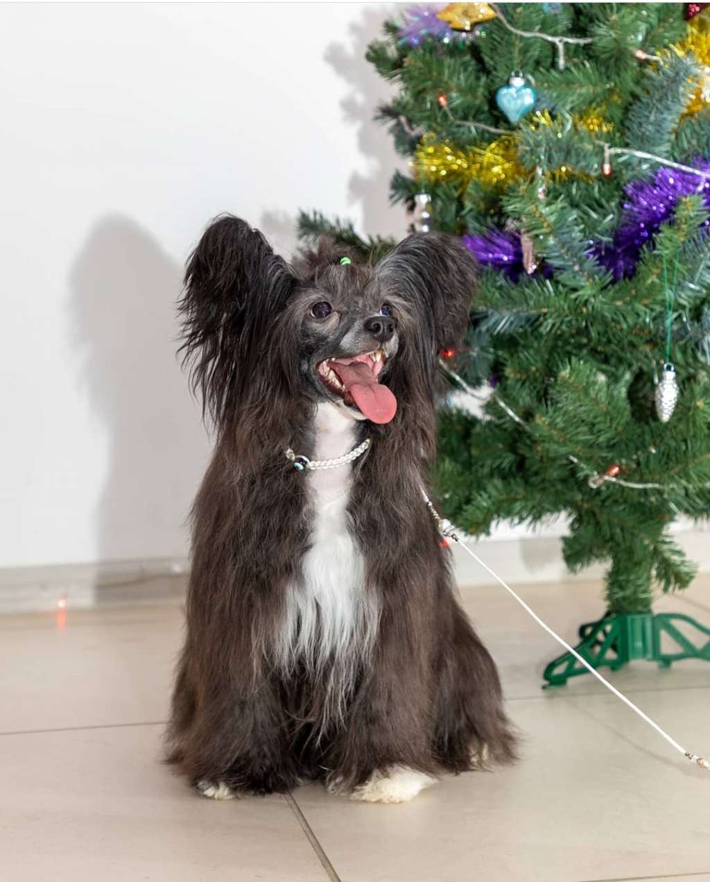 Lina'S Beauty Roksolana