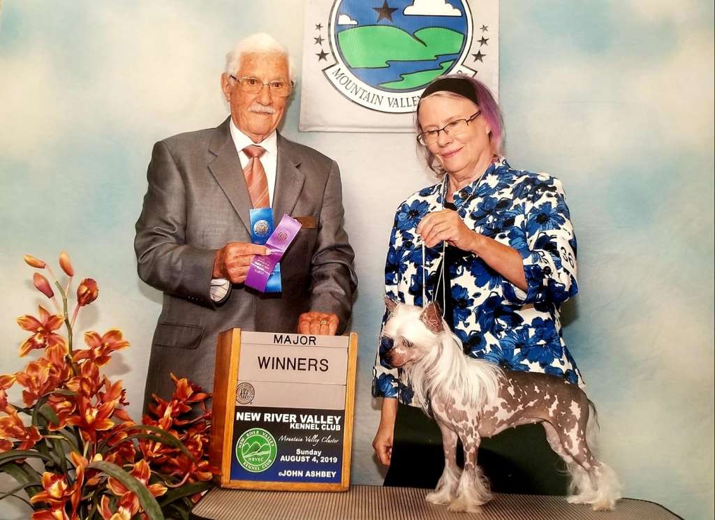 Colliwoods Ray of Light on Castlehill