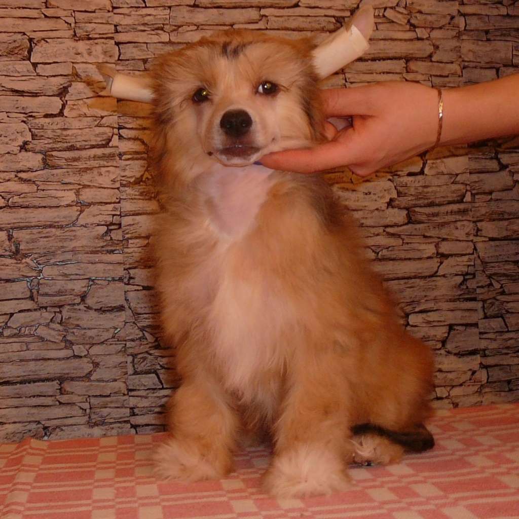 Ilatani Style In The Spotlight