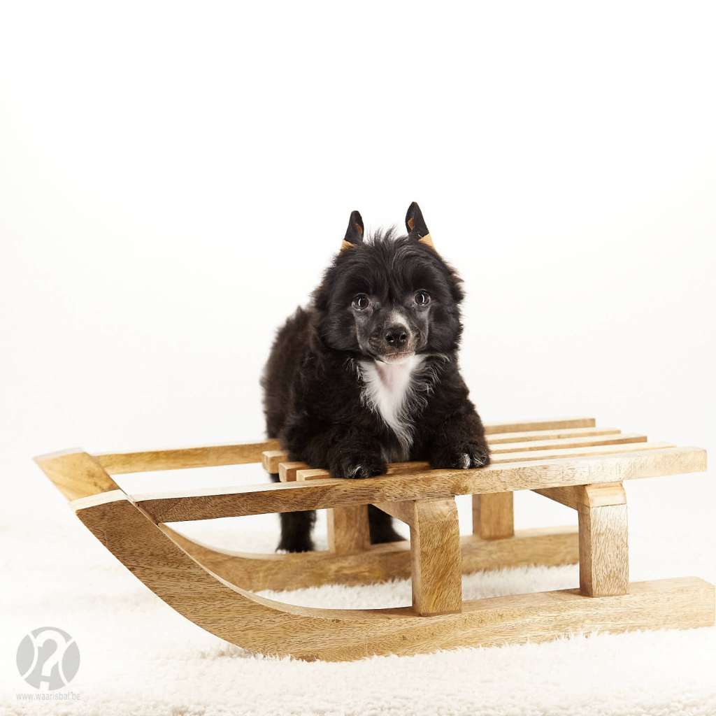 She s my Winter s Tale of Miracle Legacy