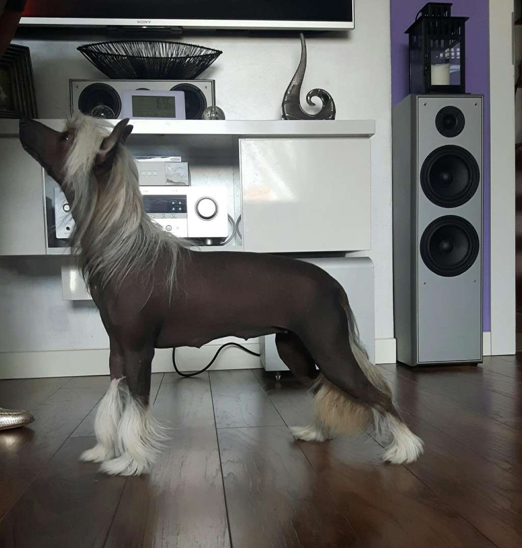 Sasquehanna To Ptysia