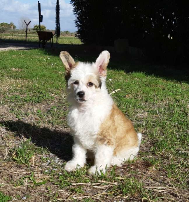 Touch Beauty She's Lady