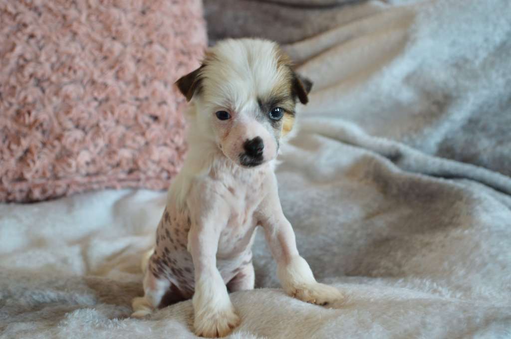 Orlando Bloom z Andelovy dlane