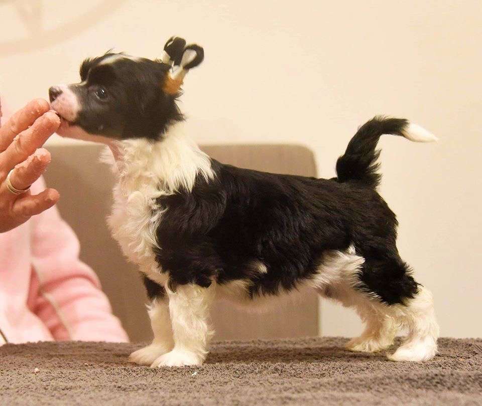 Jean Dark Three Times A Lady