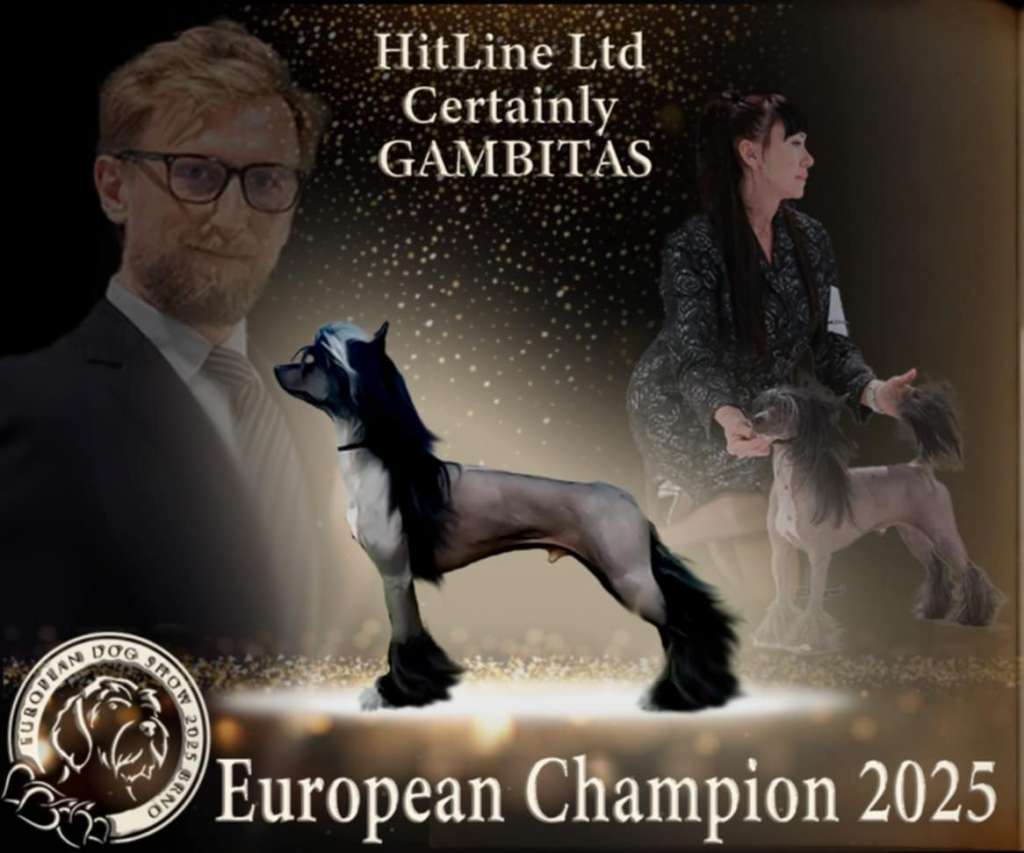 HitLine Ltd Certainly GAMBITAS