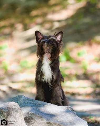 Beauty Incomparable Vermont