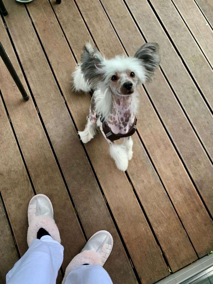 Aleko Sweet Dream River