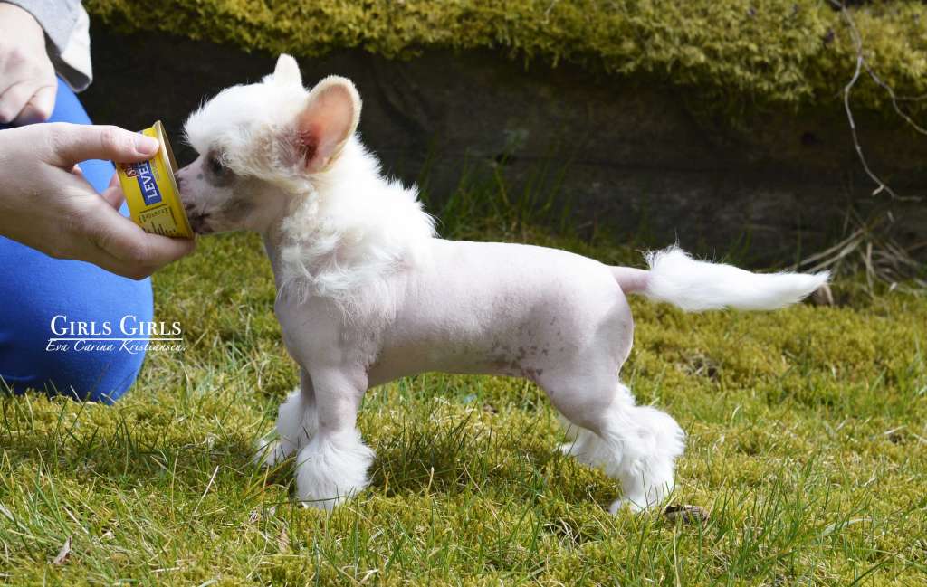 Girls Girls Hers Midnight Blues