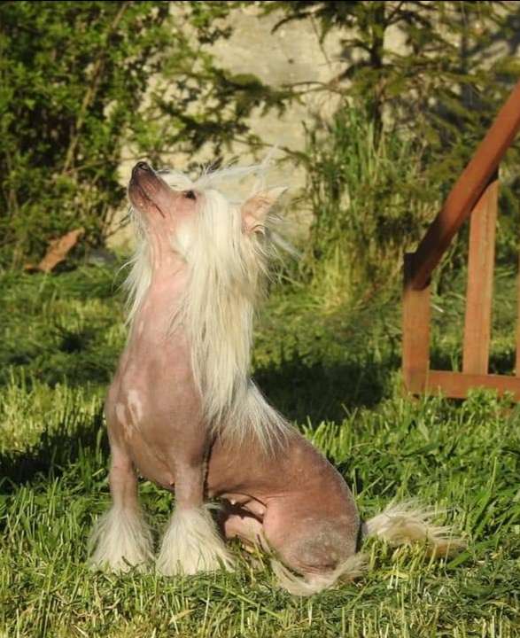 Call Me Baby Leo Cordis