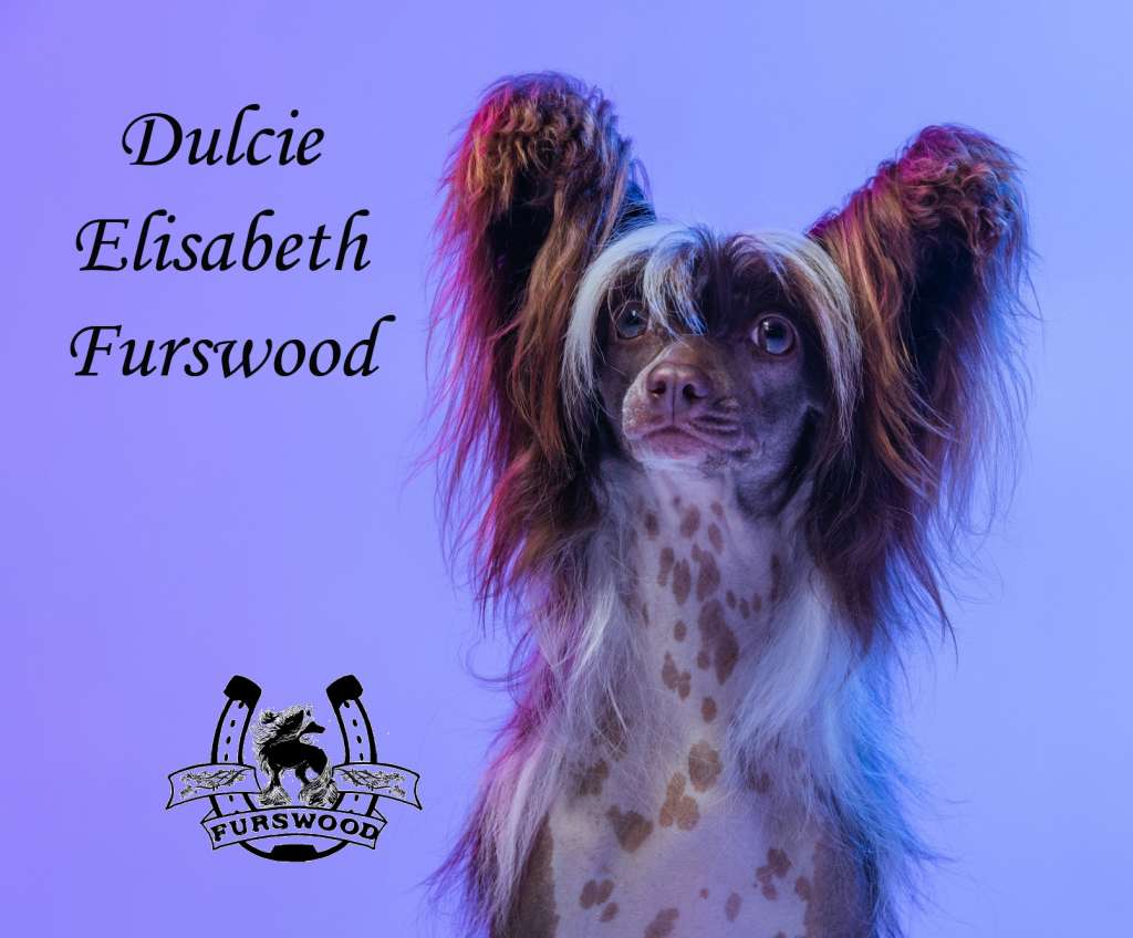 Dulcie Elisabeth Furswood