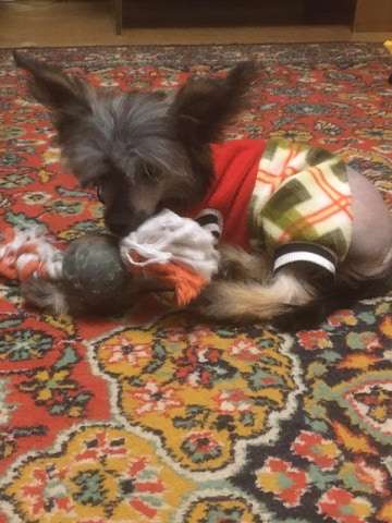 Glenlife Zlatko Zahovic