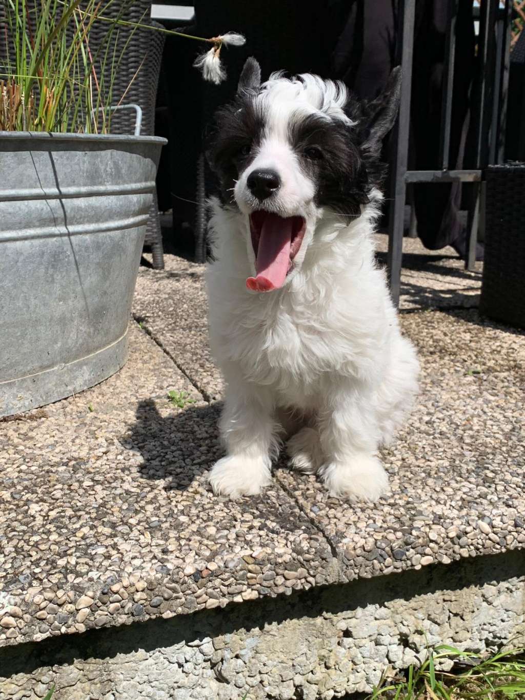 So-soft Rock 'n' Roll Racing