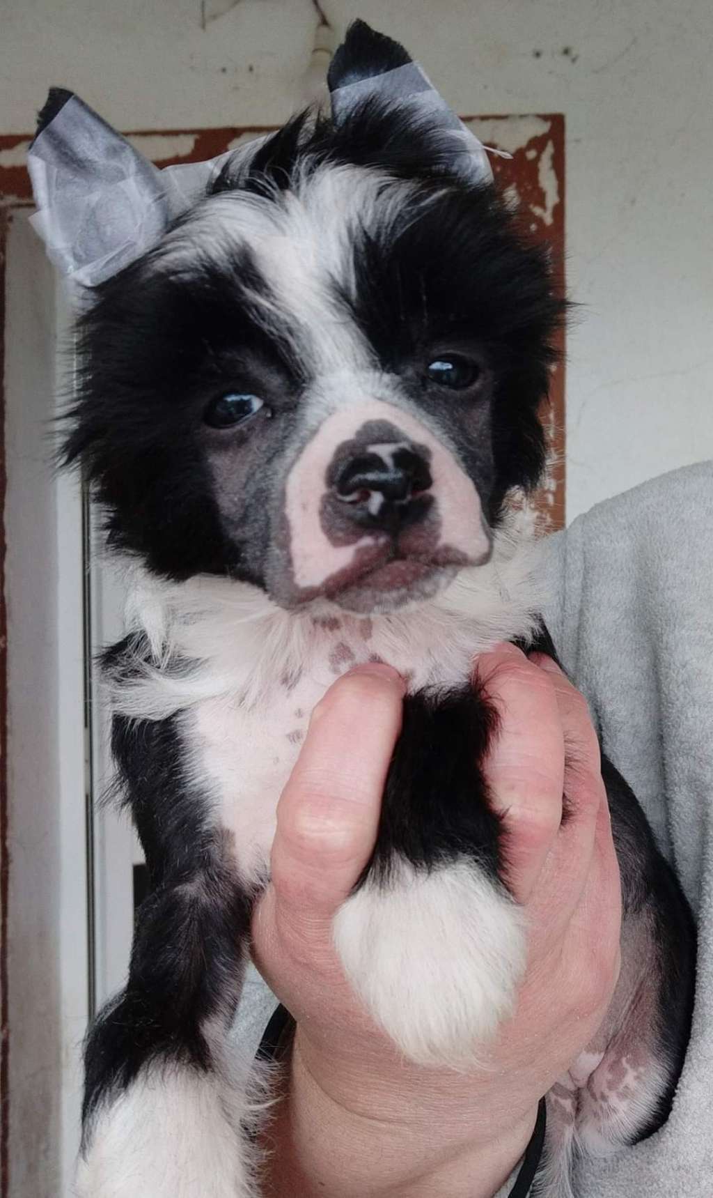 Volcancrest Sabancaya