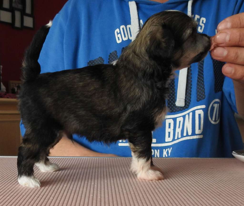 Zero Tolerance Twilight Zone