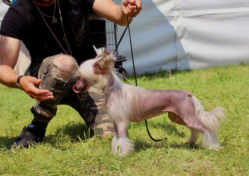 Fundoklia-völgyi Kaszanics Victoria