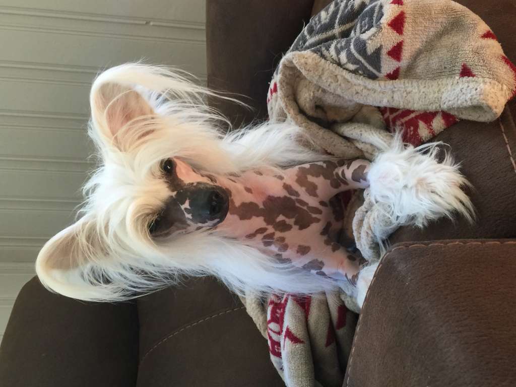 Another One Bites The Dust