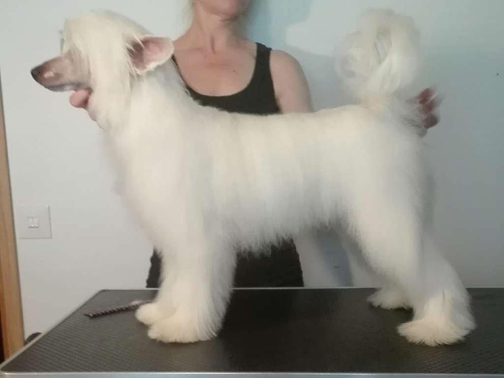 Blastwave A Big Macintosh