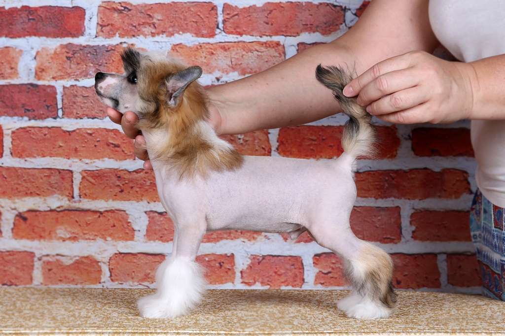 Incanto Del Mondo Varadero