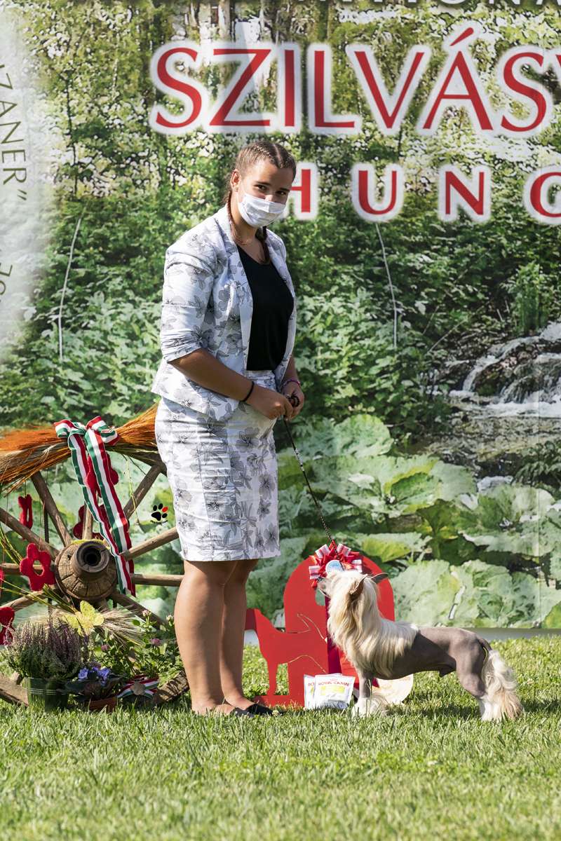 Incanto Del Mondo Valdai